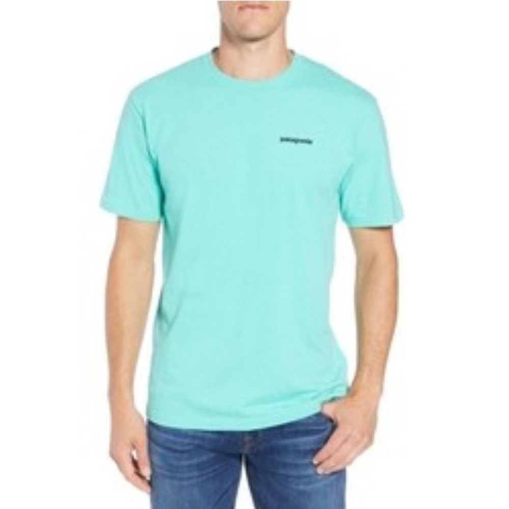 Patagonia P-6 Logo Responsibili-Tee‎ Regular Fit M14